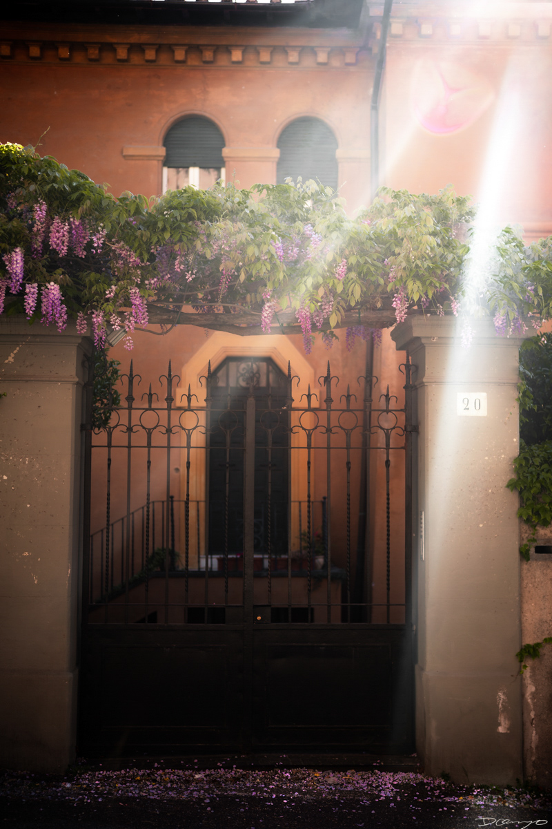 Photos from Rome, Venice, Florence, Tuscany, Manarola, Vernazza, Riomaggiore, Verona, Trento, and the Italian Alps in Spring of 2022.